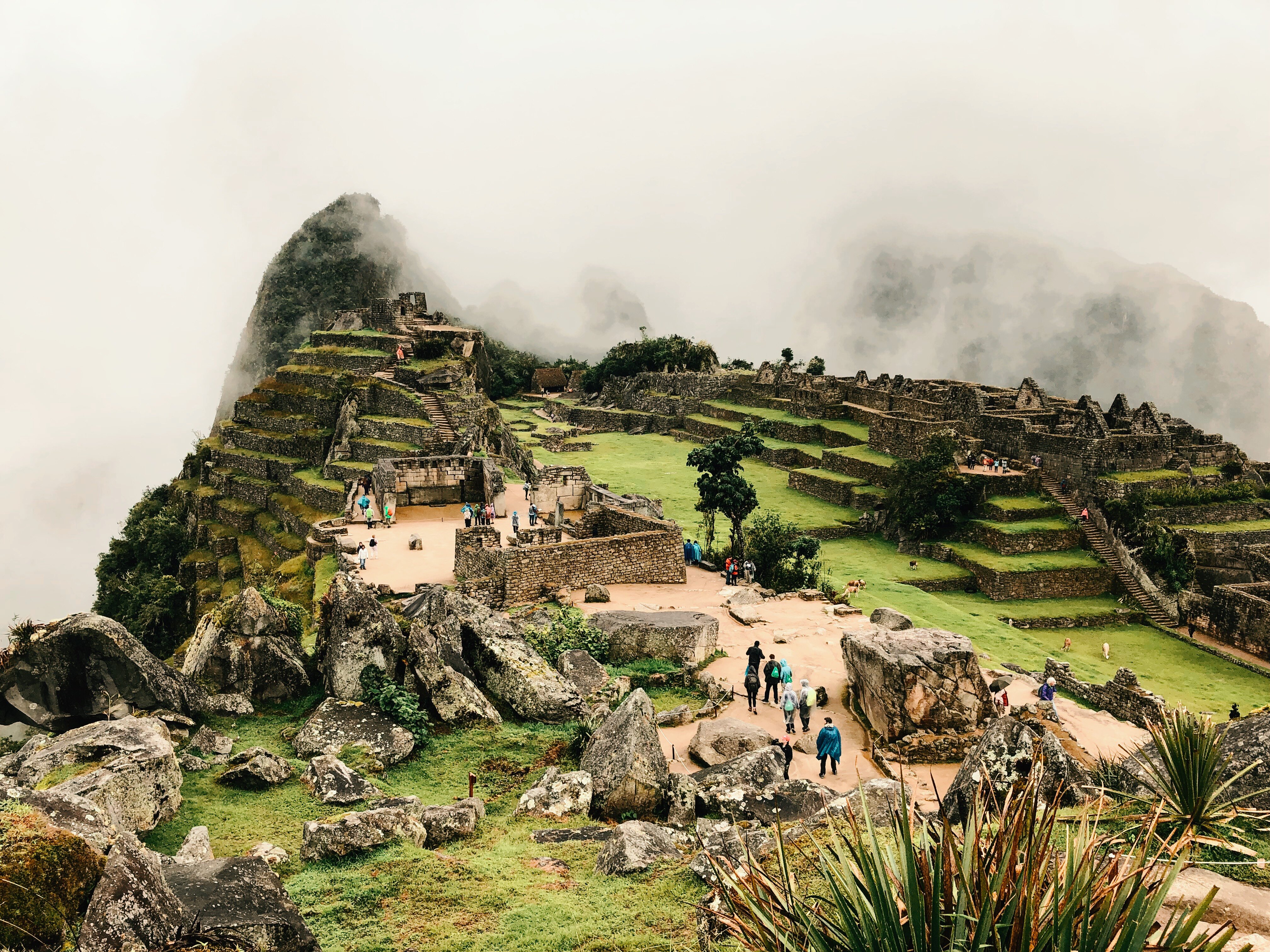Machu Picchu