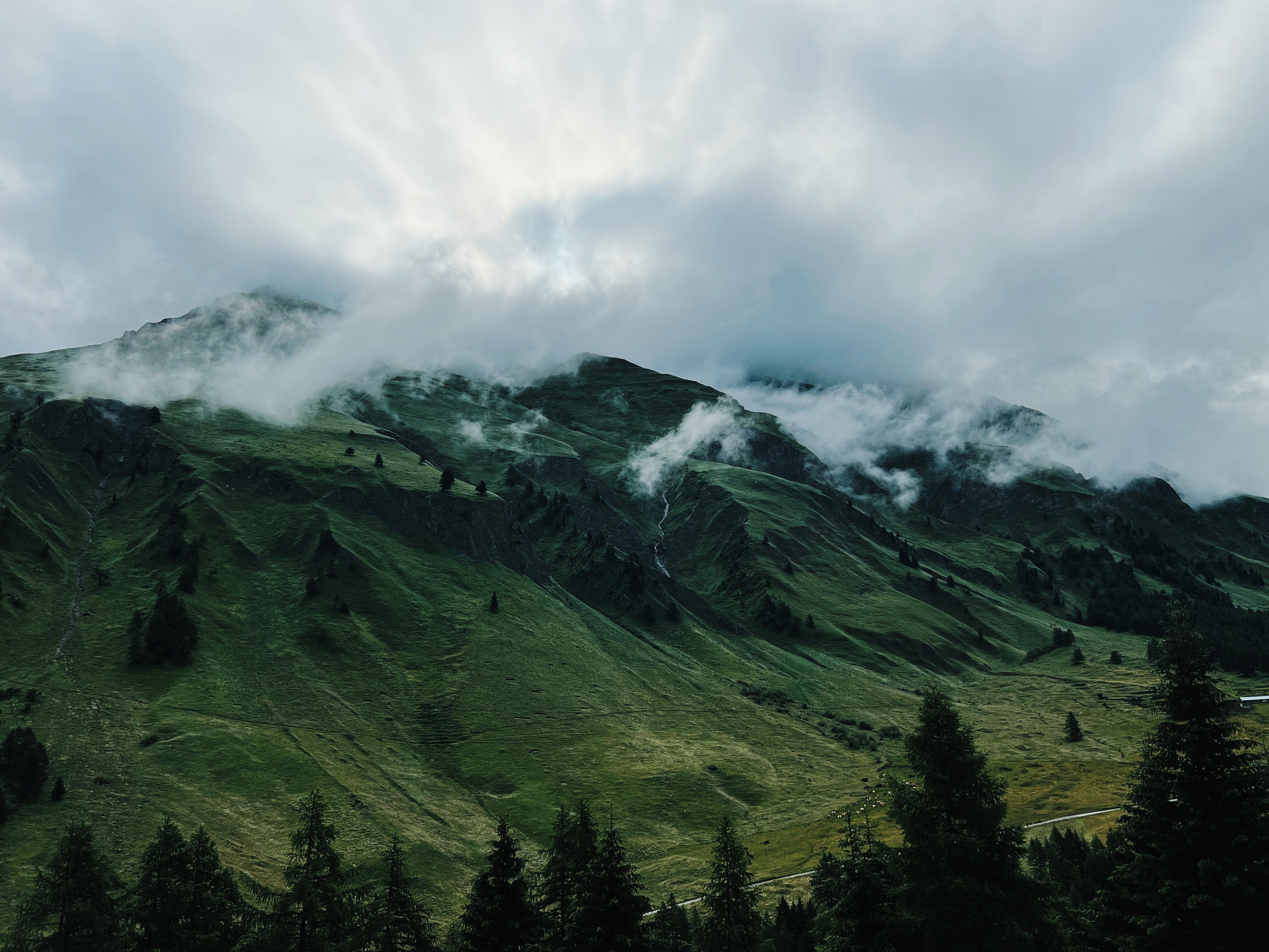 Swiss Alps